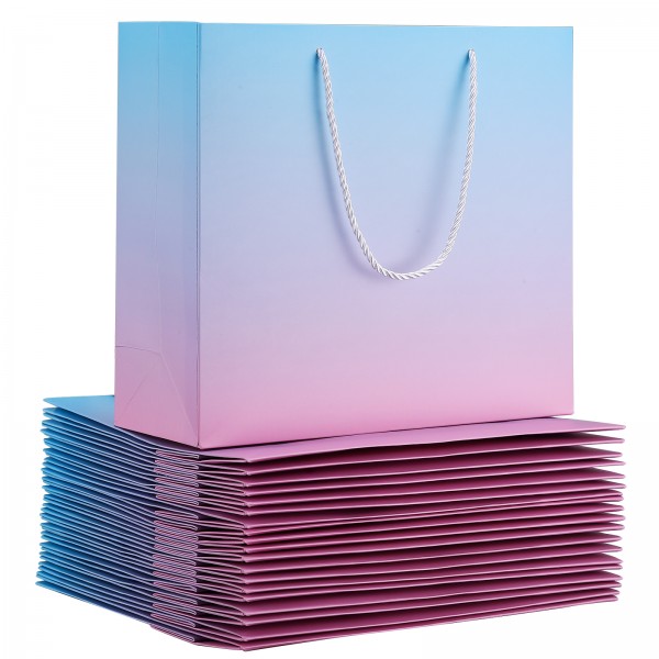 Flumus Paper Bags , 20 Pack 12.5"x 4.5"x 11" Plain Pink Blue Gift Wrap Bags with Handles Bulk for Shopping Present Small Business Boutique Welcome Wedding Flumus Paper Bags , 20 Pack 12.5"x 4.5"x 11" Plain Pink Blue Gift Wrap Bags with Handles Bulk for Shopping Present Small Business Boutique Welcome Wedding